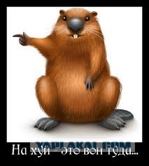 Тест на беременность