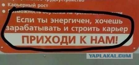 Когда начальство спрашивает работаю ли я?