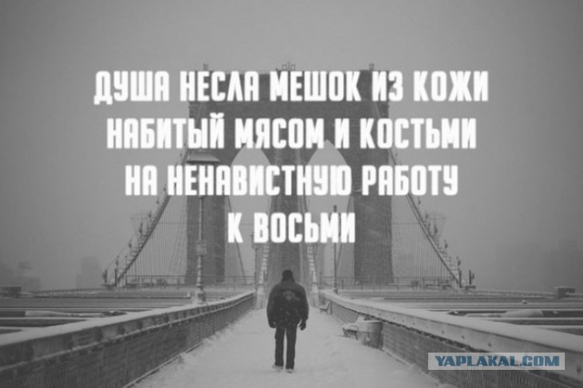 Прикольные картинки на понедельник