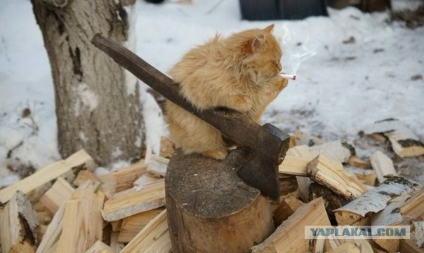 Всяко-разно