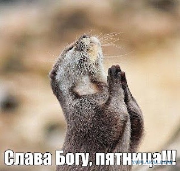 Традиционная пятничная подборка ВК и не только