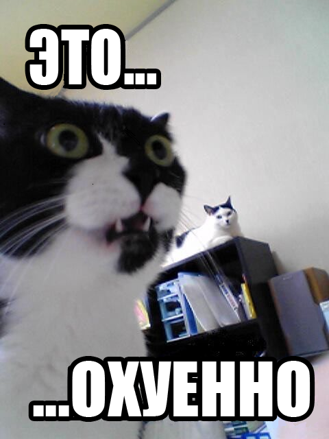 Любите котлеты?