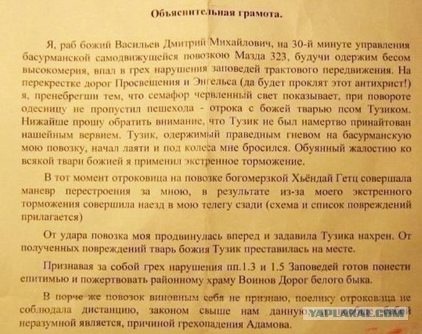 Веселые картинки