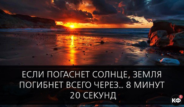 25 интересных фактов.