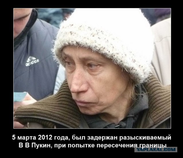 Чулпан Хаматову заставили агитировать за Путина