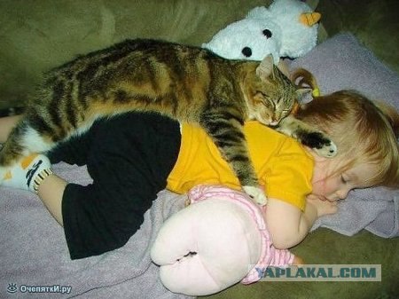 Сладкий -сладкий сон... спят усталые игрушки