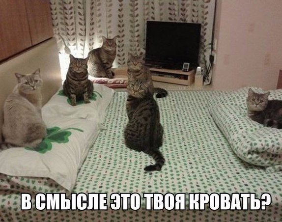 Депрессивный понедельник