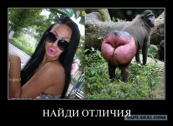 В погоне за красотой....