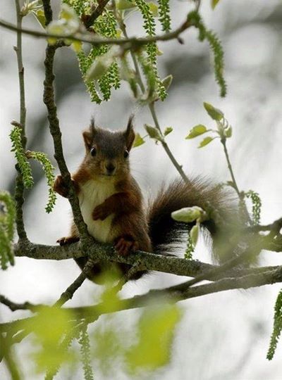 Подборка картинок 21.02.16