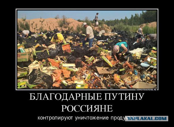 Минфин призвал не ждать улучшения экономической ситуации