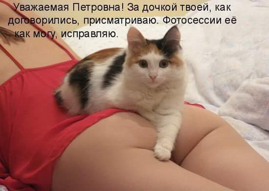 Сетевые картинки улыбательновозбуждающие