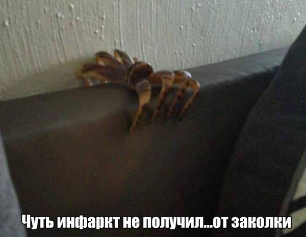 Интересные и веселые картинки