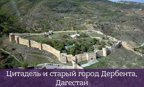 Интересные и веселые картинки