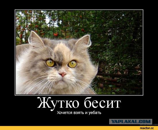 Отняла мячик у ребенка