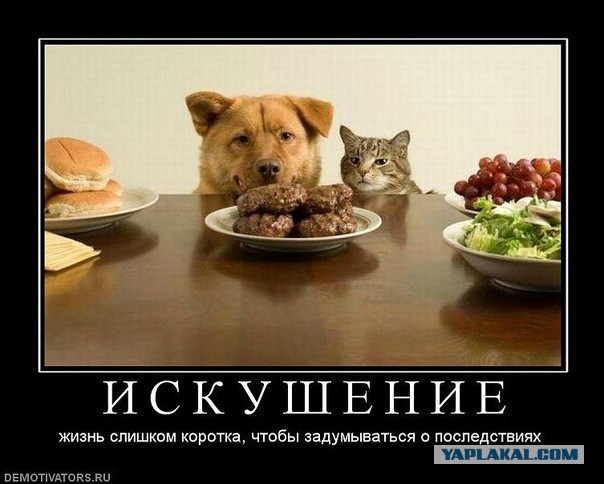 Есть смешные (картинки)