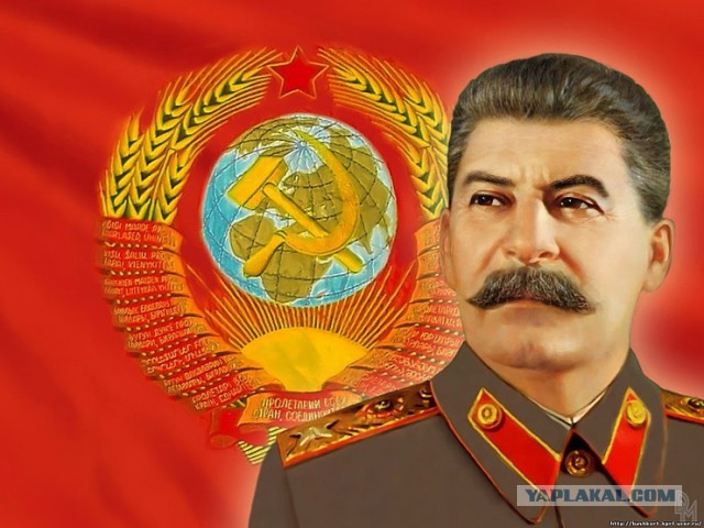 Типичные мажоры рассказали об «убогих провинциалах» и «олимпиаде понтов»