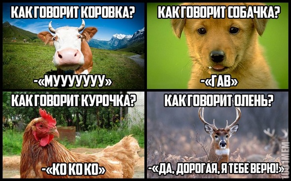 Картинки из инета