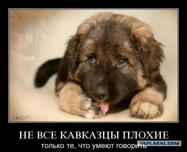 В Чечне строят крупнейший в мире международный центр подготовки спецназа
