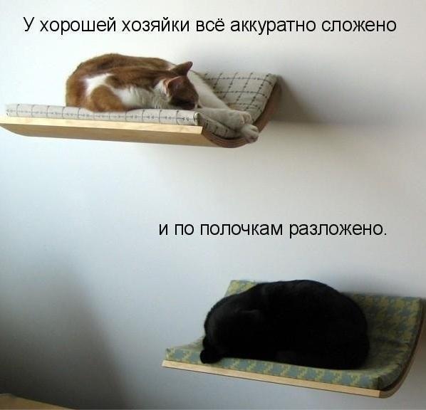 29 картинок