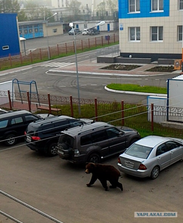 Давняя вечеринка сыграла злую шутку с девушкой