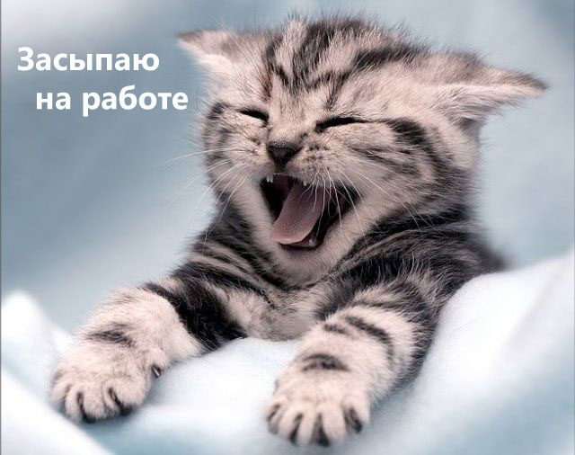 С ПЯТНИЦЕЙ!