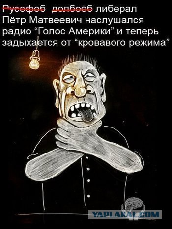 Более 80% россиян одобряют работу Путина