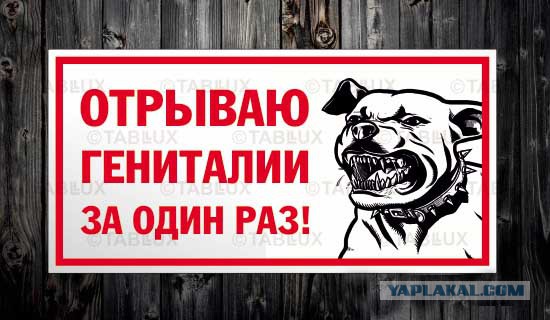 10 гениальных табличек у дома