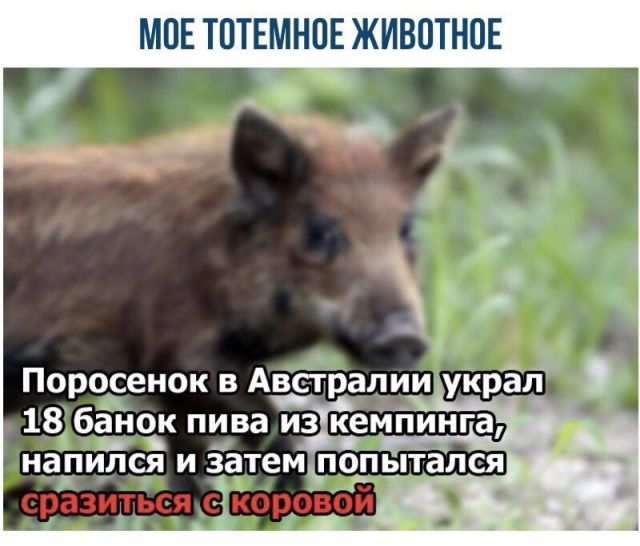 Нестандартный юмор