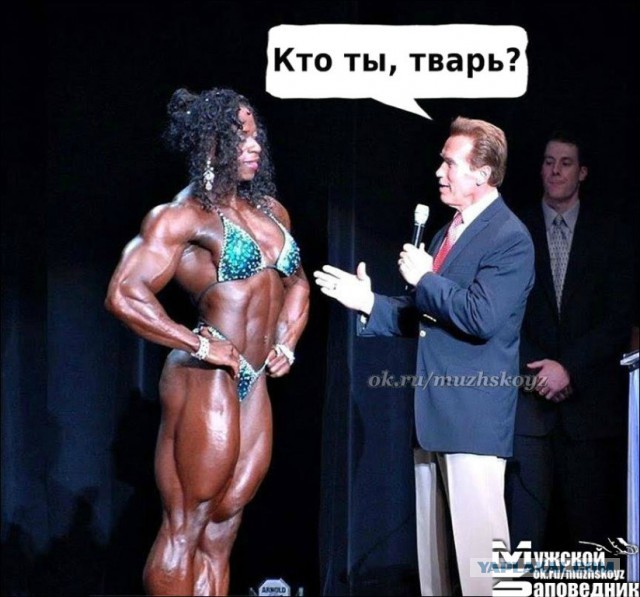 Не очень светлый и абсурдный юмор обо всём
