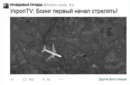 МИД Нидерландов не исключает ответственность Киева за крушение MH17 в Донбассе