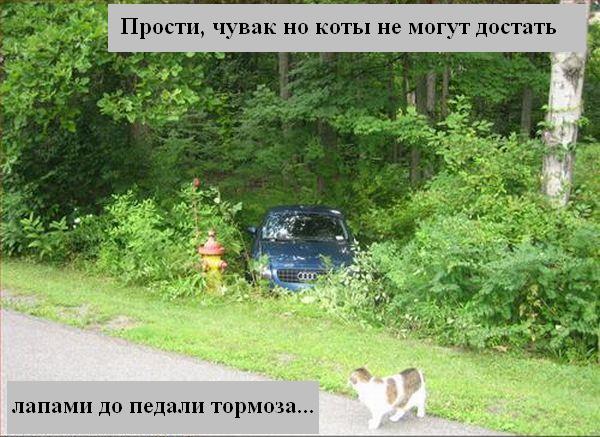 Весёлая подбока зверей (9 штук)