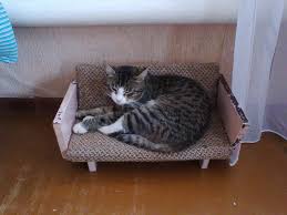 Роскошная жизнь. За чей счёт?