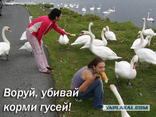 Не ори на меня!