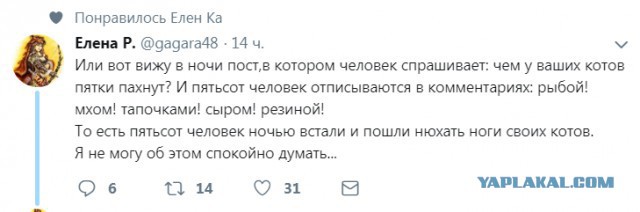 Смешные комментарии из социальных сетей 28.12.2018
