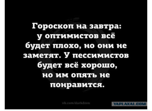 Анекдоты, соц-сети, истории и картинки с надписями
