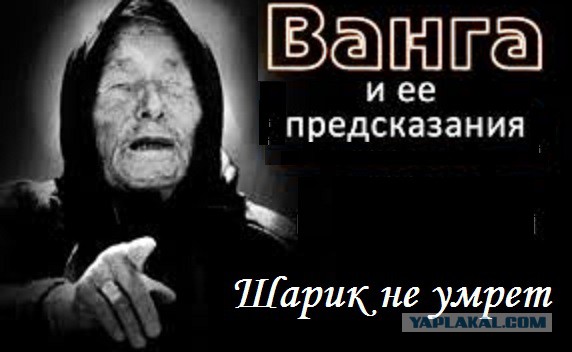 Пес Апокалипсиса. Питомник. И многое другое
