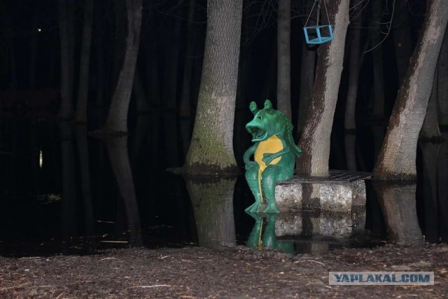 Жаба на Жабу