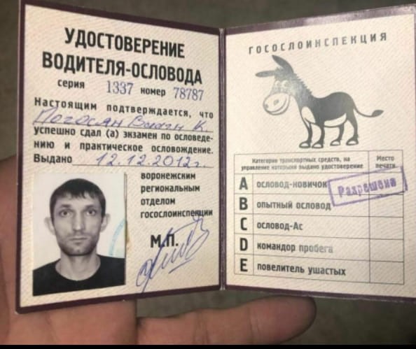 В центре Калининграда произошла массовая драка