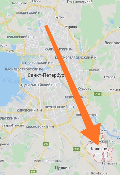 Помогите вернуть кота! Приют "Преданное сердце" украл кота и не отдает!-2