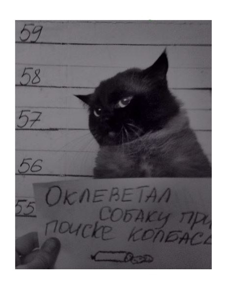 Картинки разные 4.12.19.
