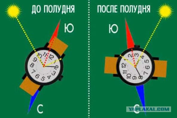 6 мифов о выживании, которые могут стоить вам жизни