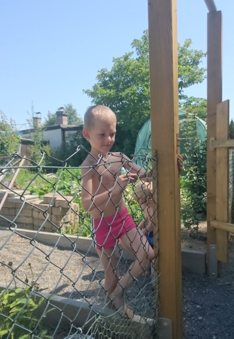 Дача за 6 лет
