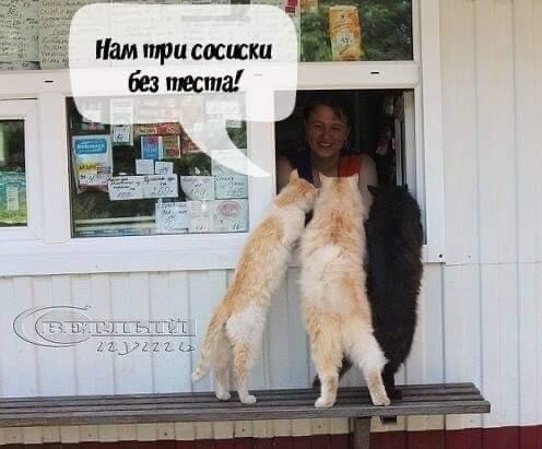 Картинки всякие, 27.08.2020