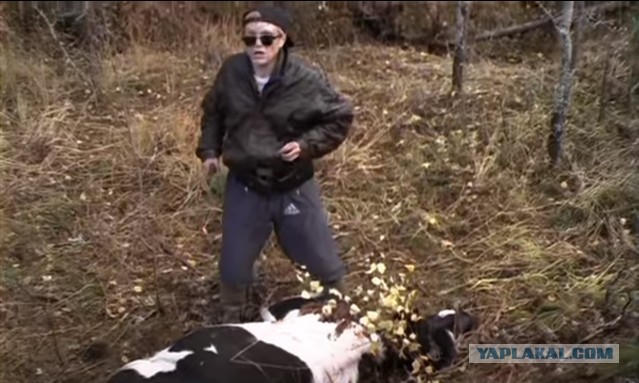 Про охоту