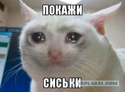 Это "мяу" прозвучало совсем как "мама". Женщина осеклась, побледнела...