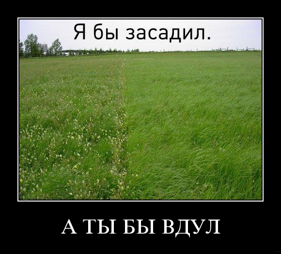 Фотожаба: А ты?