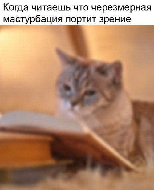 Немного картинок с текстом и без 02.12.20