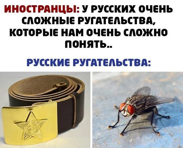 Бредзона 03.03.2021