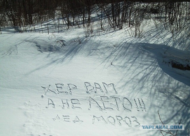 Картинки с надписями и всякие жизненные фразы 17.03.21
