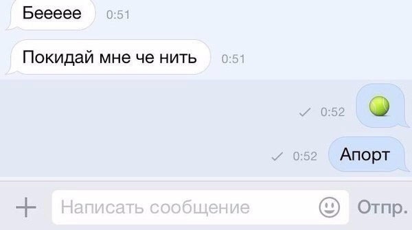 Так себе картинки 05.04.21